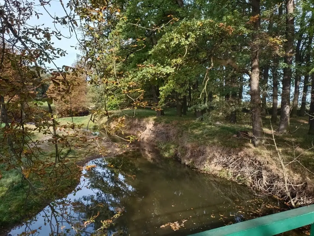 Řeka Doubrava, pohled z lávky do obory