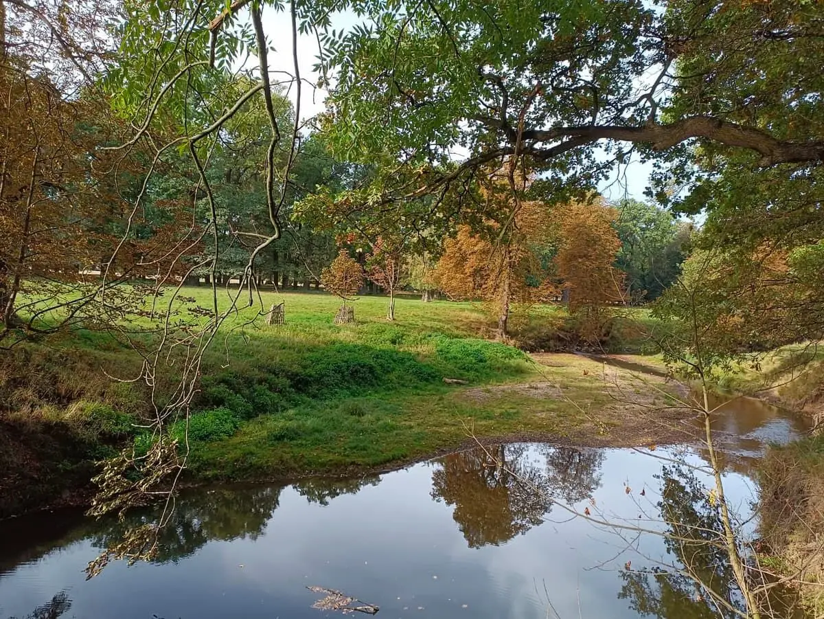 Řeka Doubrava, pohled z lávky do obory